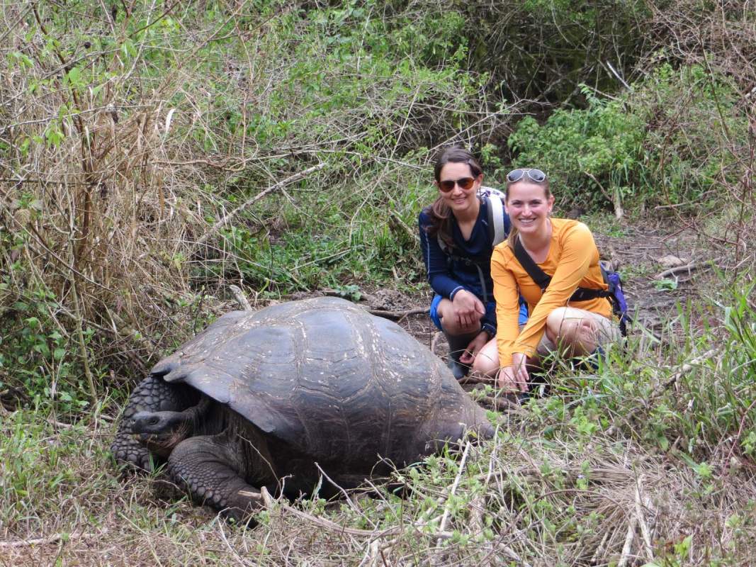 Two people with giant tortoise in the Galapagos Islands