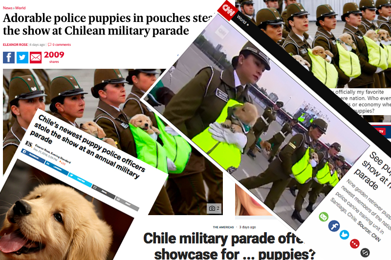 Chile puppy parade