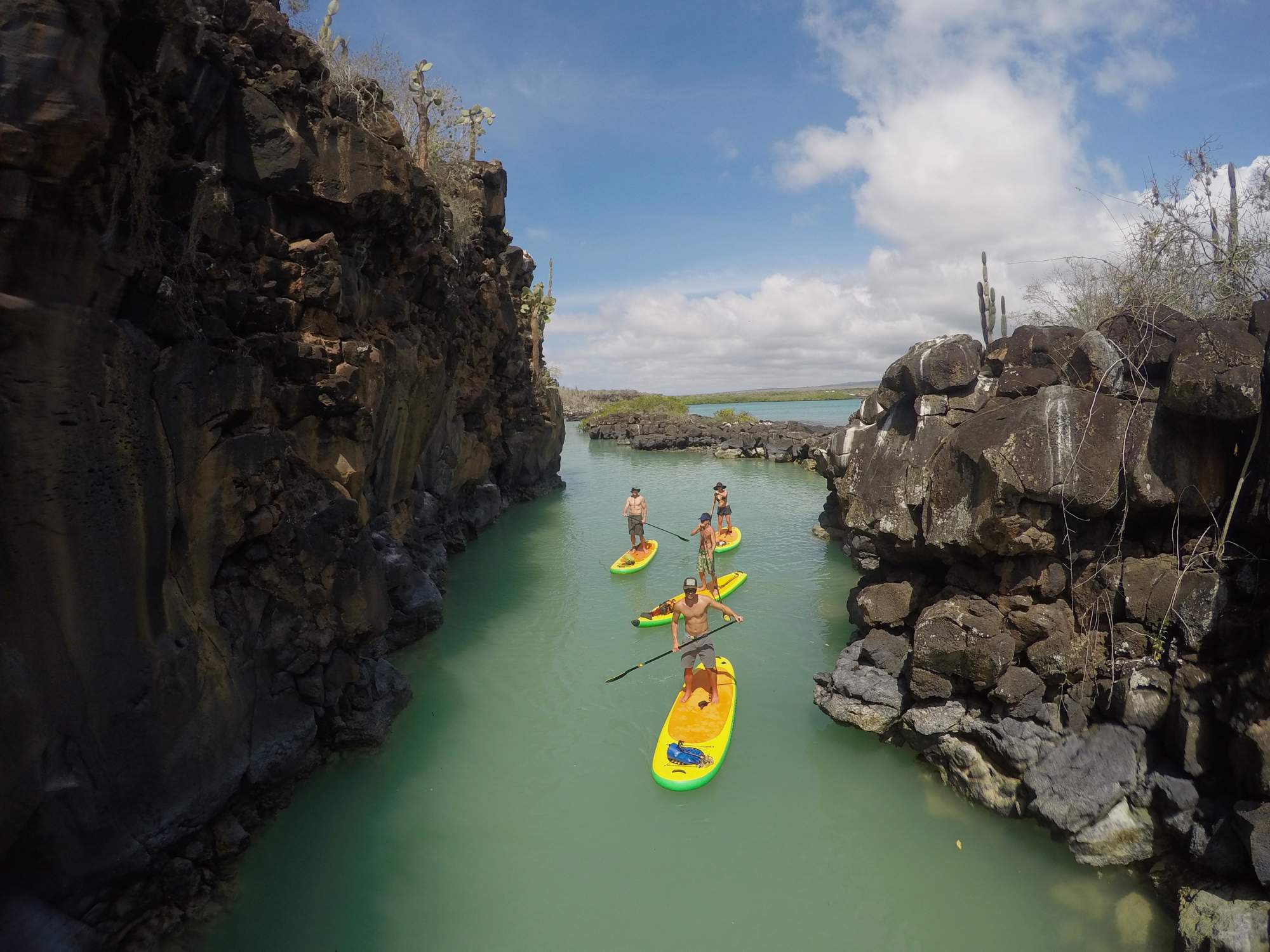 Group of people on standup paddle boards in the Galapagos Islands